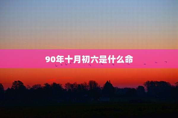 90年十月初六是什么命
