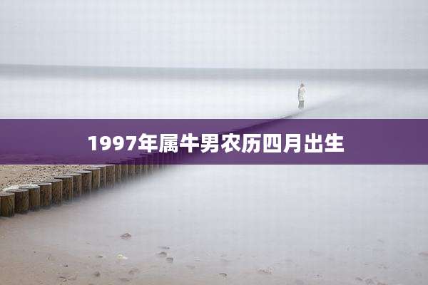 1997年属牛男农历四月出生