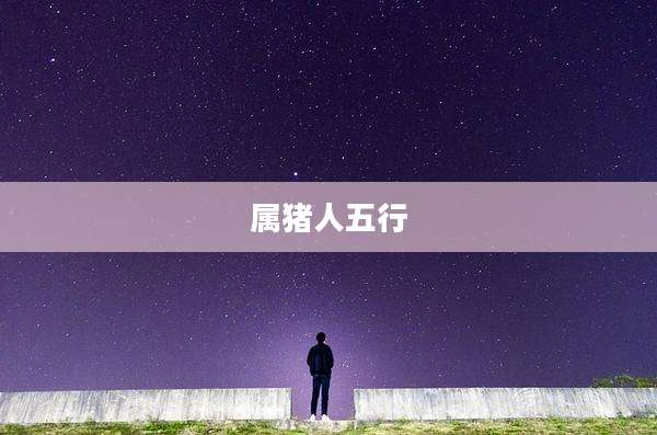 属猪人五行