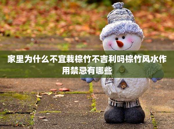 家里为什么不宜栽棕竹不吉利吗棕竹风水作用禁忌有哪些