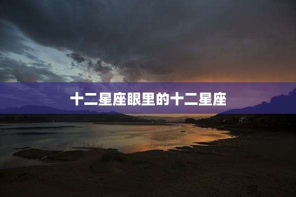 十二星座眼里的十二星座