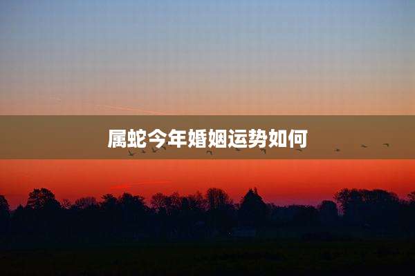 属蛇今年婚姻运势如何