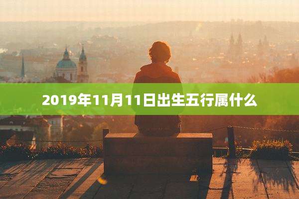 2019年11月11日出生五行属什么