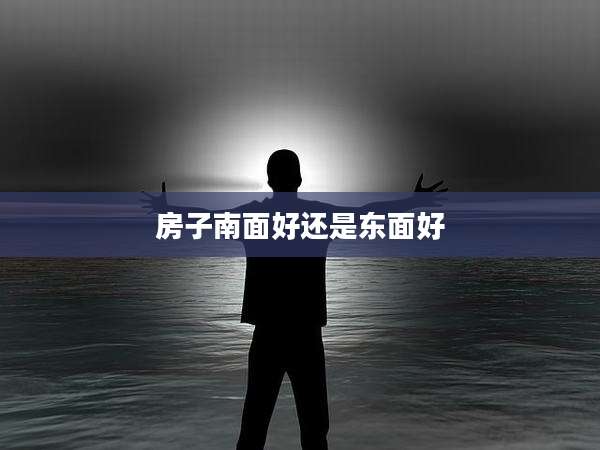 房子南面好还是东面好