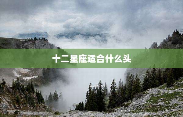 十二星座适合什么头