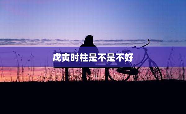 戊寅时柱是不是不好