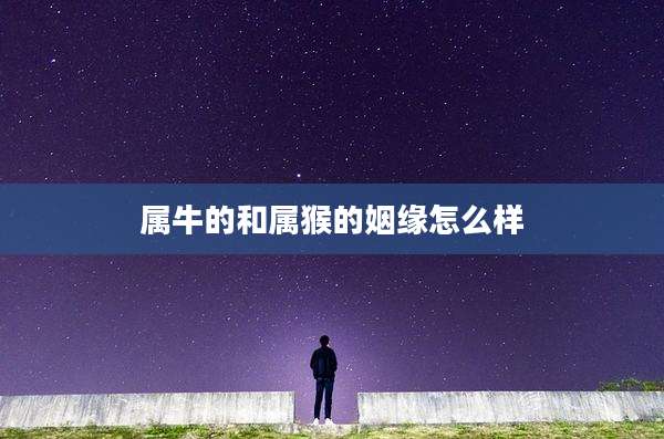 属牛的和属猴的姻缘怎么样
