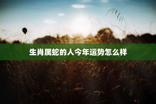 生肖属蛇的人今年运势怎么样