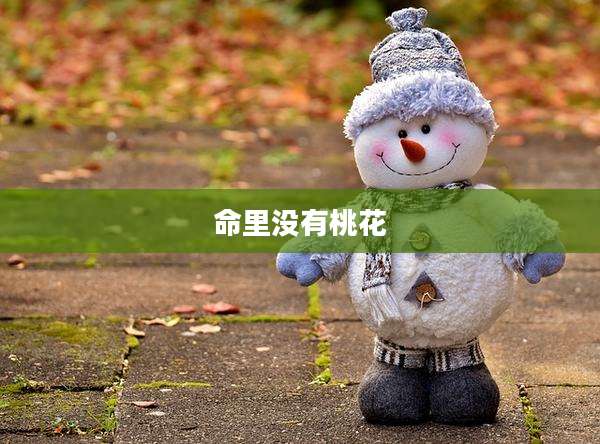 命里没有桃花
