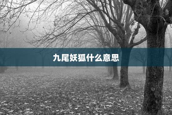 九尾妖狐什么意思