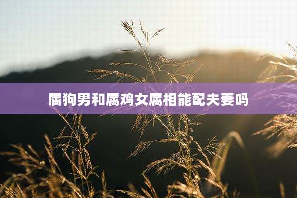 属狗男和属鸡女属相能配夫妻吗