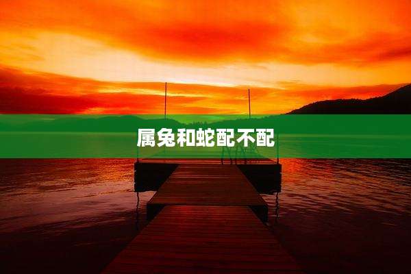 属兔和蛇配不配