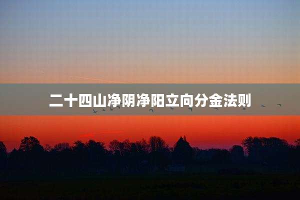 二十四山净阴净阳立向分金法则
