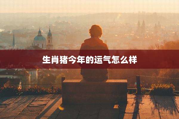 生肖猪今年的运气怎么样