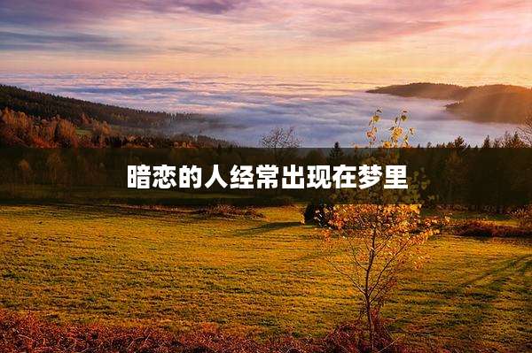 暗恋的人经常出现在梦里