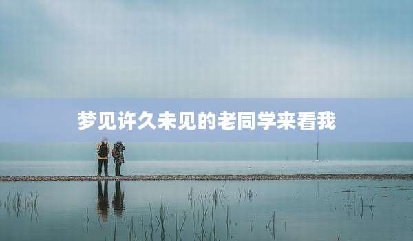 梦见许久未见的老同学来看我