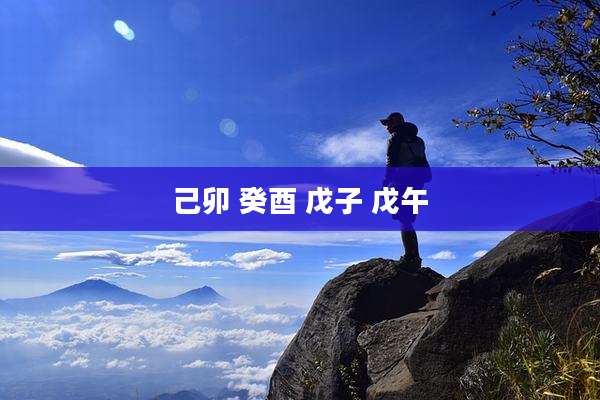 己卯 癸酉 戊子 戊午