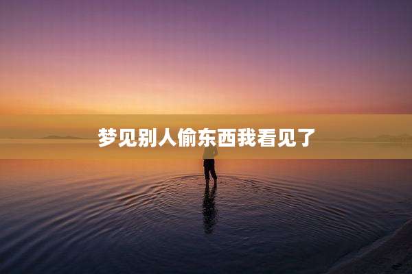 梦见别人偷东西我看见了