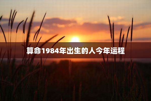 算命1984年出生的人今年运程