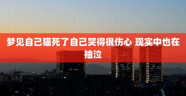梦见自己猫死了自己哭得很伤心 现实中也在抽泣