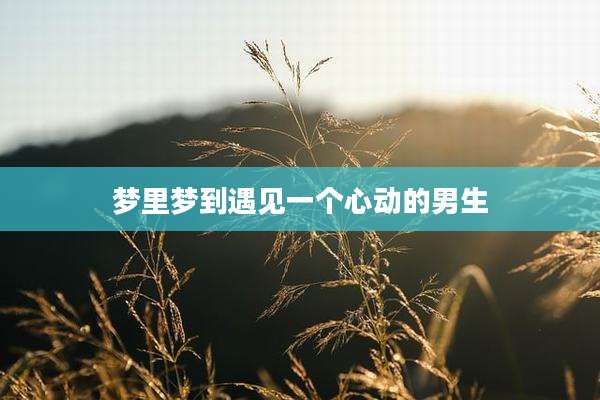梦里梦到遇见一个心动的男生