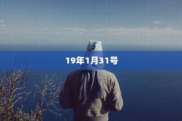 19年1月31号
