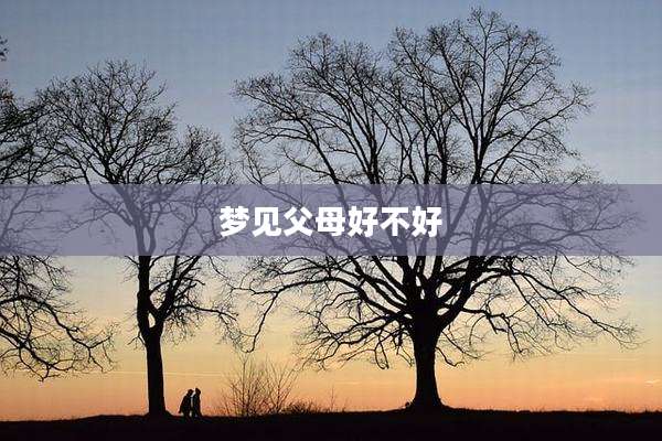 梦见父母好不好