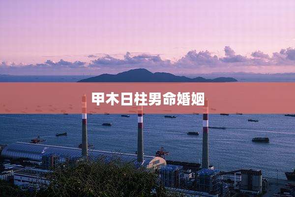甲木日柱男命婚姻