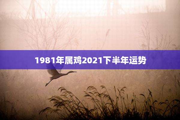 1981年属鸡2021下半年运势