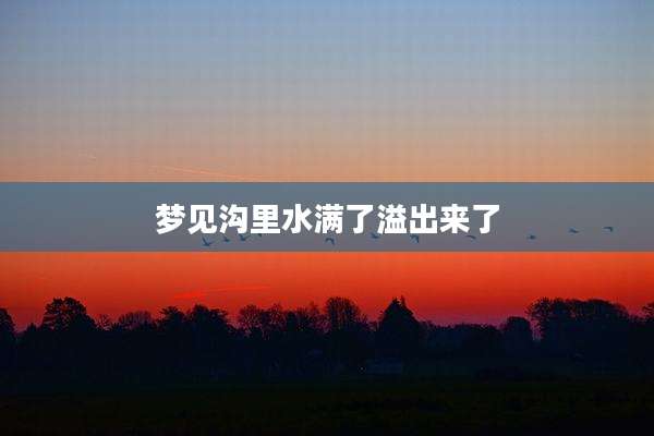 梦见沟里水满了溢出来了