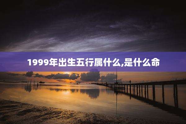 1999年出生五行属什么,是什么命