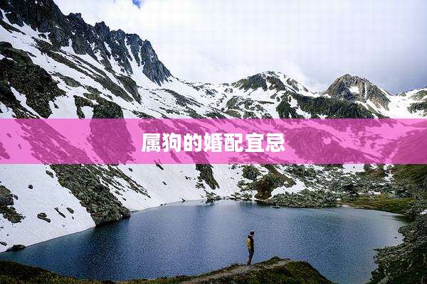属狗的婚配宜忌