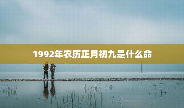 1992年农历正月初九是什么命