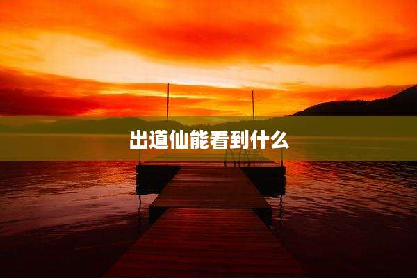 出道仙能看到什么
