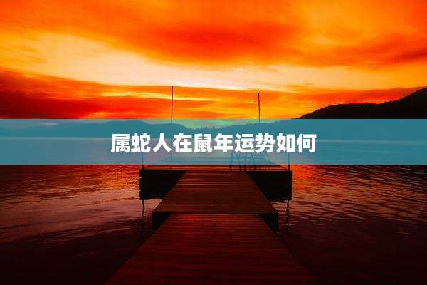 属蛇人在鼠年运势如何
