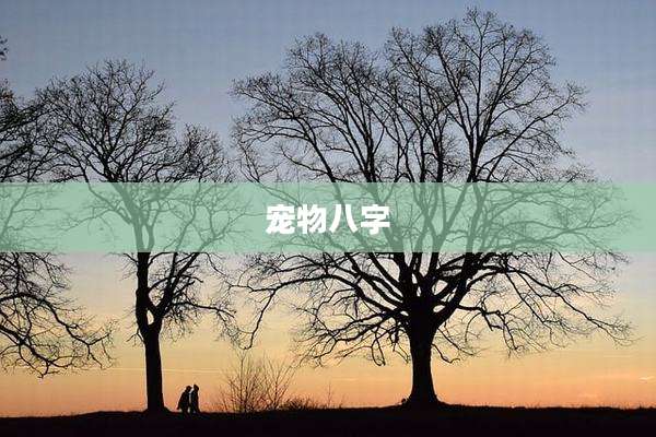 宠物八字