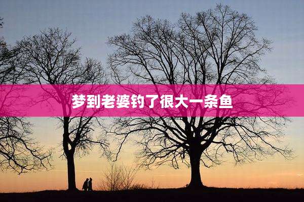 梦到老婆钓了很大一条鱼