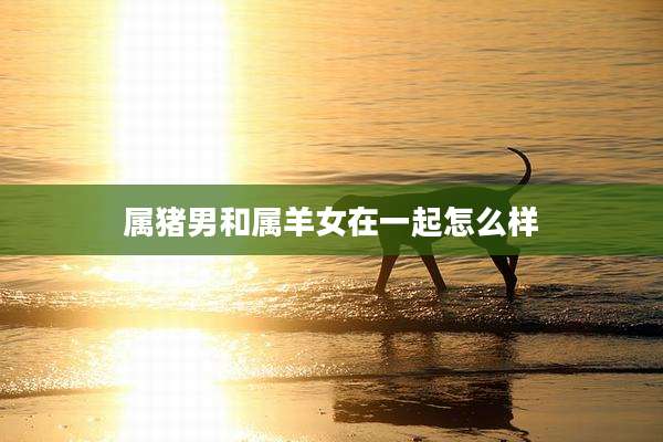 属猪男和属羊女在一起怎么样