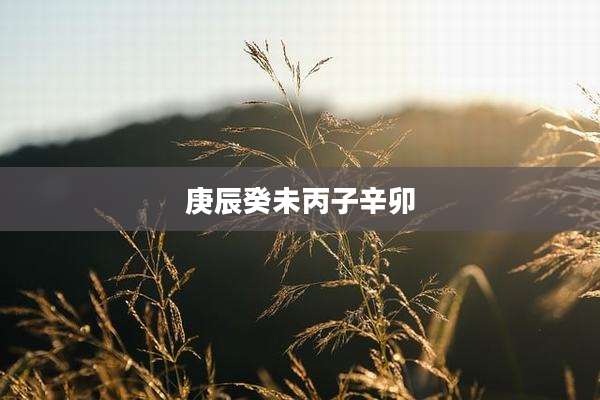 庚辰癸未丙子辛卯