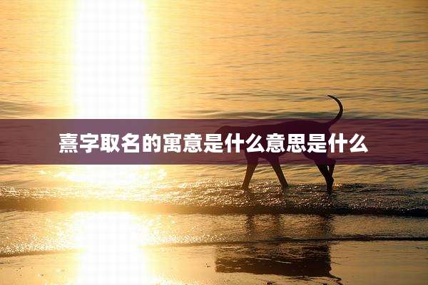 熹字取名的寓意是什么意思是什么