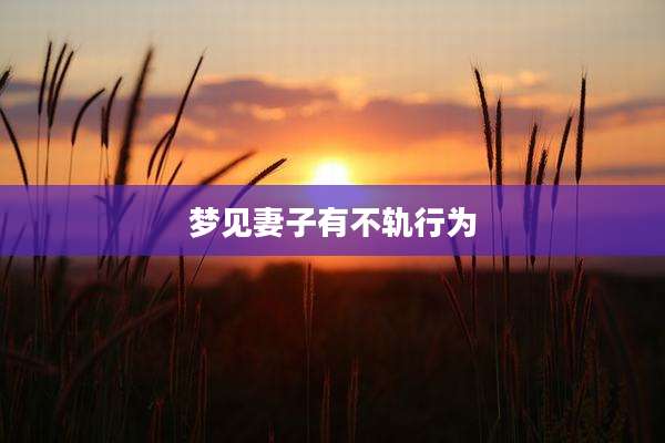 梦见妻子有不轨行为