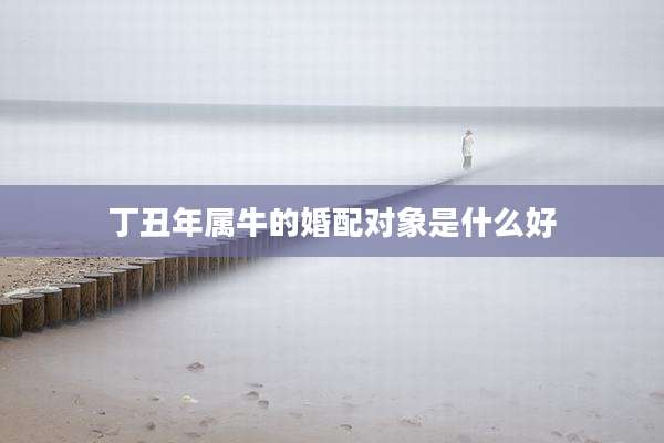 丁丑年属牛的婚配对象是什么好