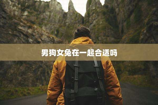 男狗女兔在一起合适吗