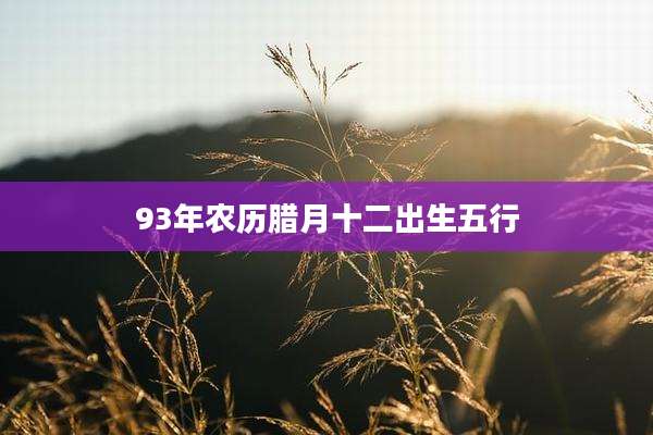 93年农历腊月十二出生五行