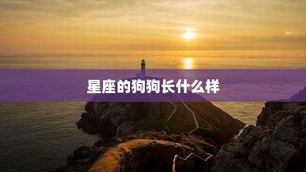 星座的狗狗长什么样