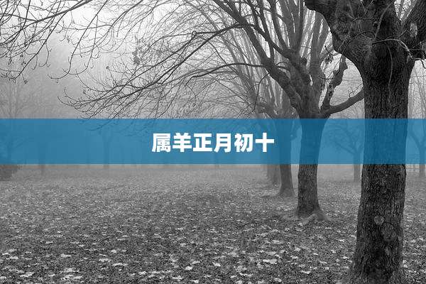 属羊正月初十