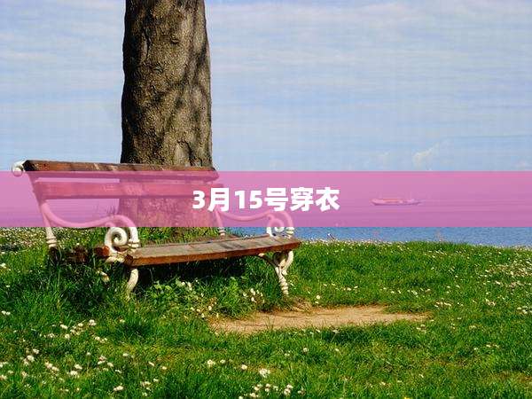 3月15号穿衣