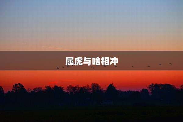 属虎与啥相冲