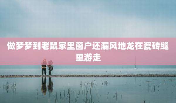 做梦梦到老鼠家里窗户还漏风地龙在瓷砖缝里游走