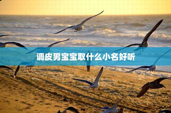 调皮男宝宝取什么小名好听